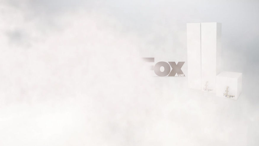 Hotfox  |  Logo Reveal